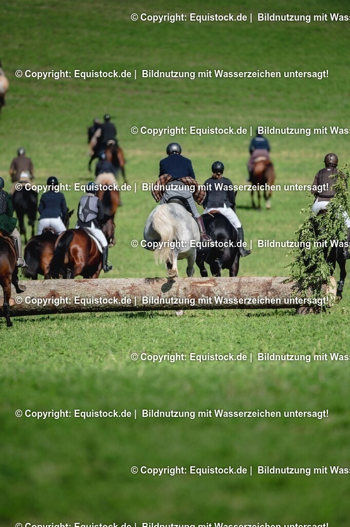 20251011_Jagd-Marbach_0268 | Foto: Thomas Hartig