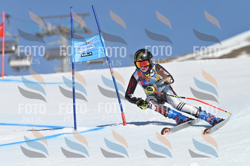 BGV_8393 | holidayphoto