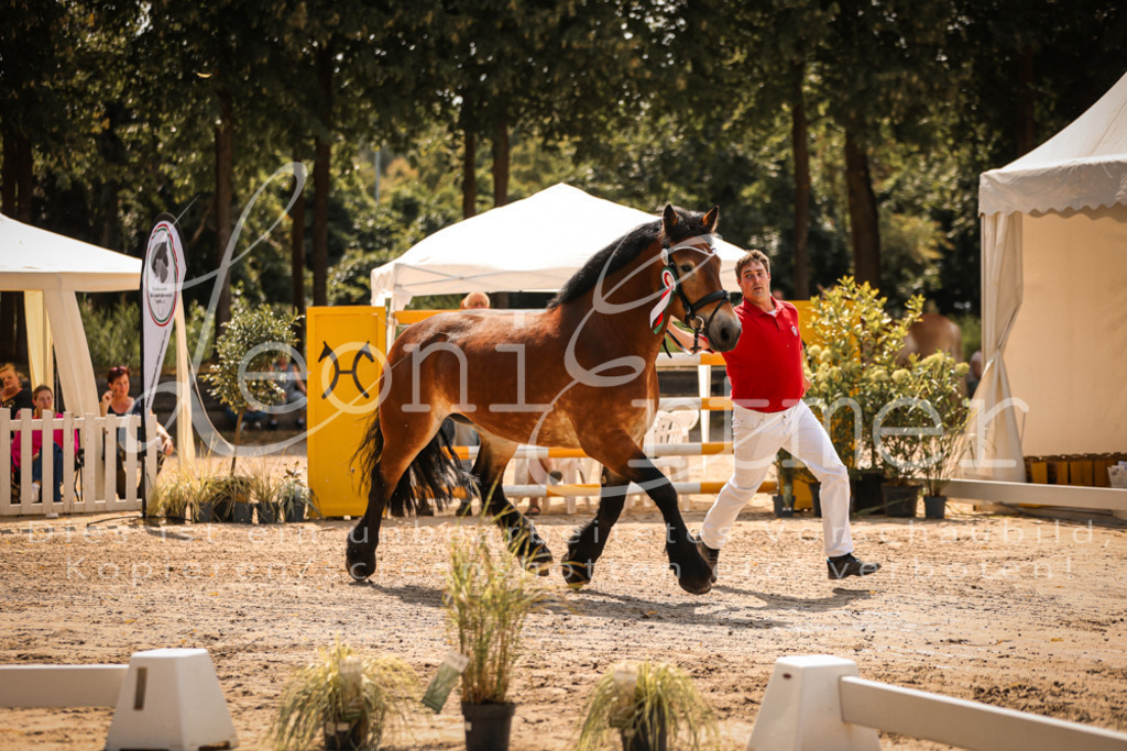 1.Sa00071 | Leoni Ertmer Photography - Realisiert mit Pictrs.com