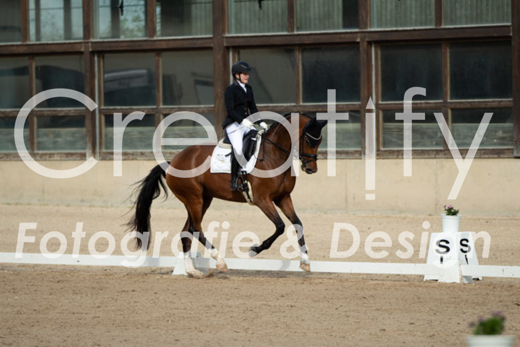 IMG_0954 | Creatify Fotografie