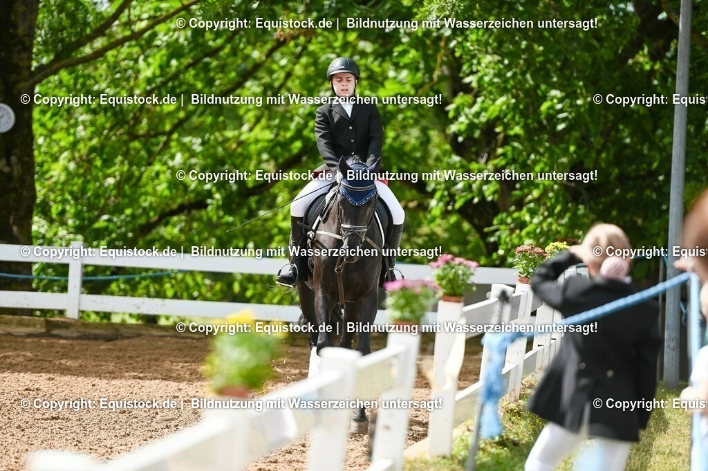 20230716_10-1_Reiter-WB Schritt - Trab - Galopp_0163 | equistock