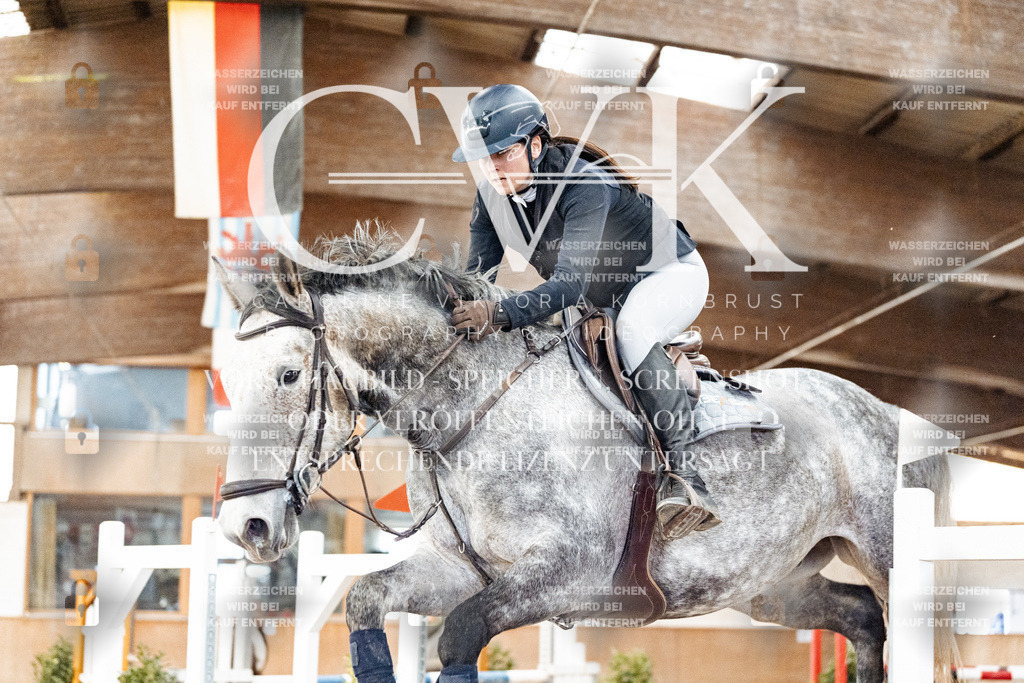 CK906350 | Turnierfotografie Pferdefotografie Trier Rheinland-Pfalz Pferdesport Reitsport Tierfotografie Sportfotografie Pferdevideo Pferdevideografie Equestrianvideography equestrianphotography  - Realized with Pictrs.com