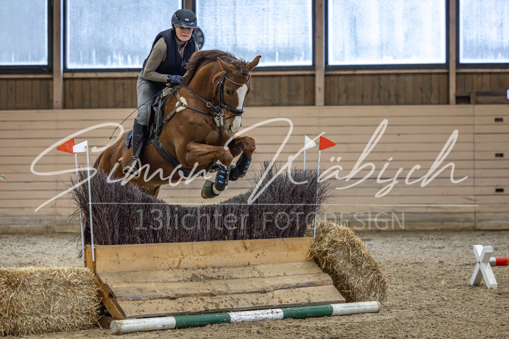 20260222-_3LI1236 | Tierfotografie Pferde, Hunde, Katzen, Haustiere.
Turnierfotografie Reitturniere, Reiten, Springreiten, Dressur in Hanau, dem Main-Kinzig-Kreis und dem Rhein-Main- Gebiet um Frankfurt