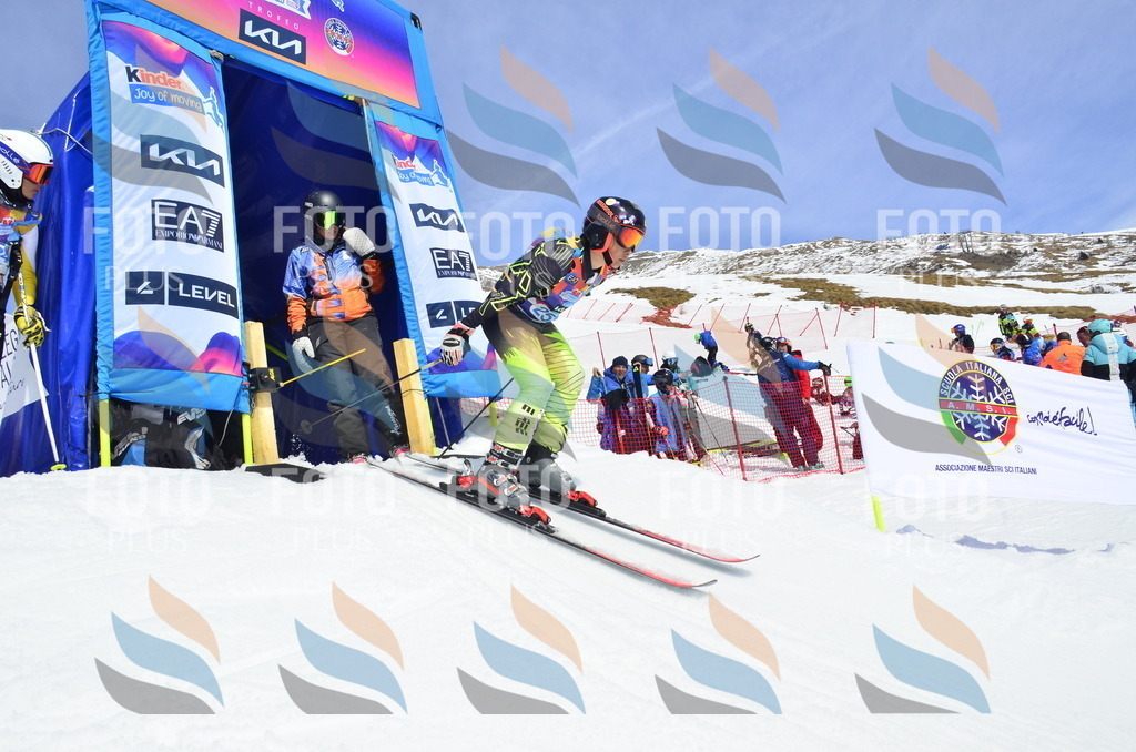 _ELE1853 | holidayphoto