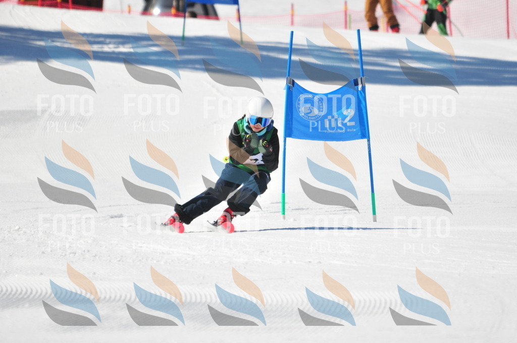 C3791 | holidayphoto