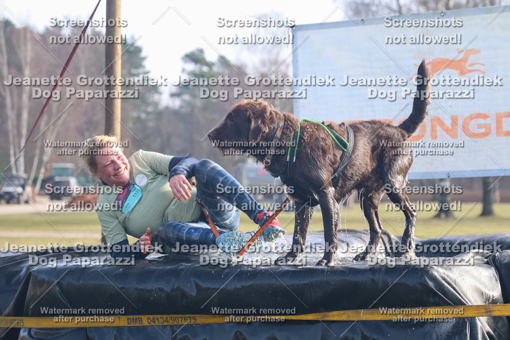 Dog Paparazzi - Strongdog North Mrz26-439 | Dog Paparazzi Jeanette Grottendiek Fotografie & Videografie - Realisiert mit Pictrs.com