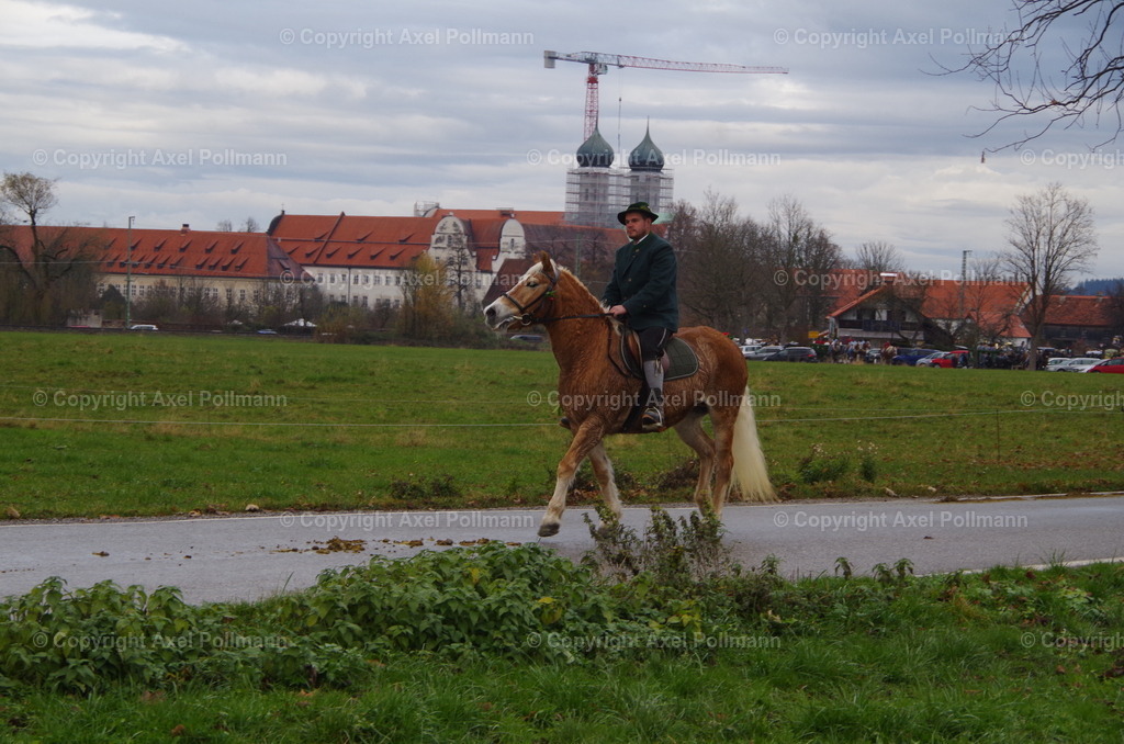 IMGP9737 | fotografiert von Axel PollmannLeonhardi Wallfahrt Benediktbeuern und Murnau, Fronleichnam, Fasching, Landschaft im Loisachtal und Benediktbeuern  - Realisiert mit Pictrs.com