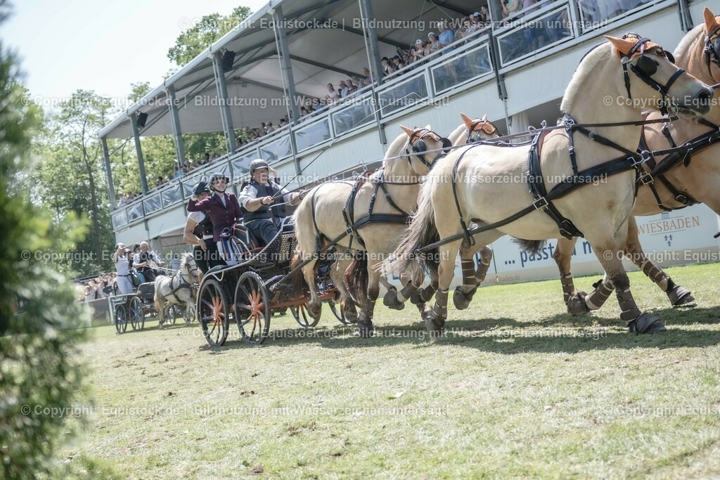 20230528_Jump-and-Drive_0264 | equistock