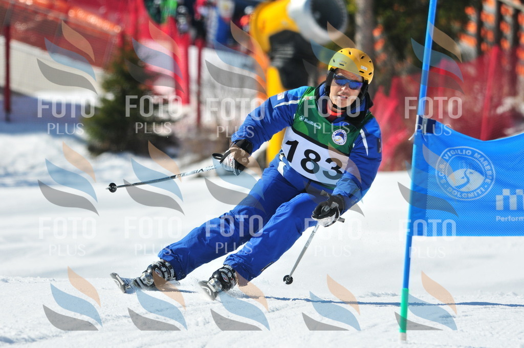 C4315 | holidayphoto