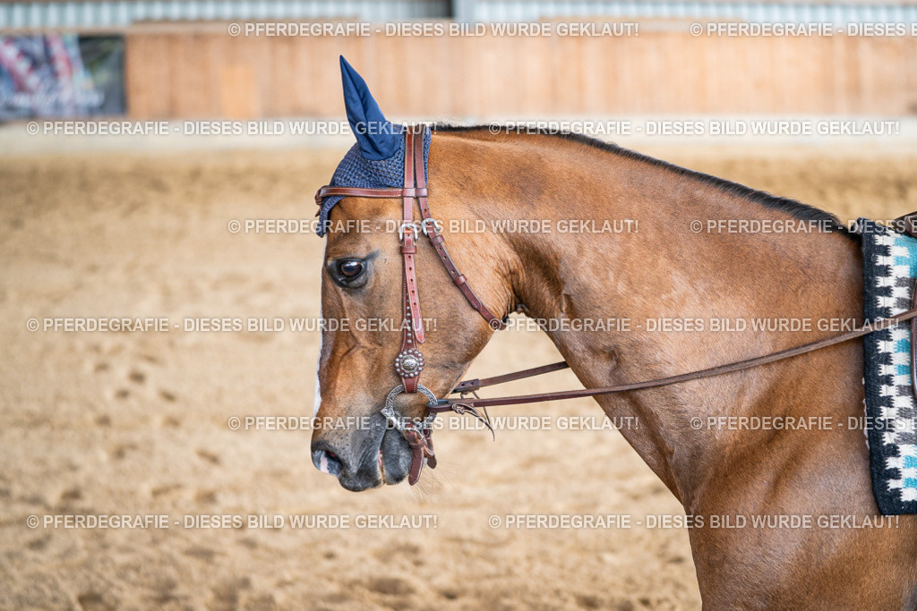 DSC09339 | Pferdegrafie