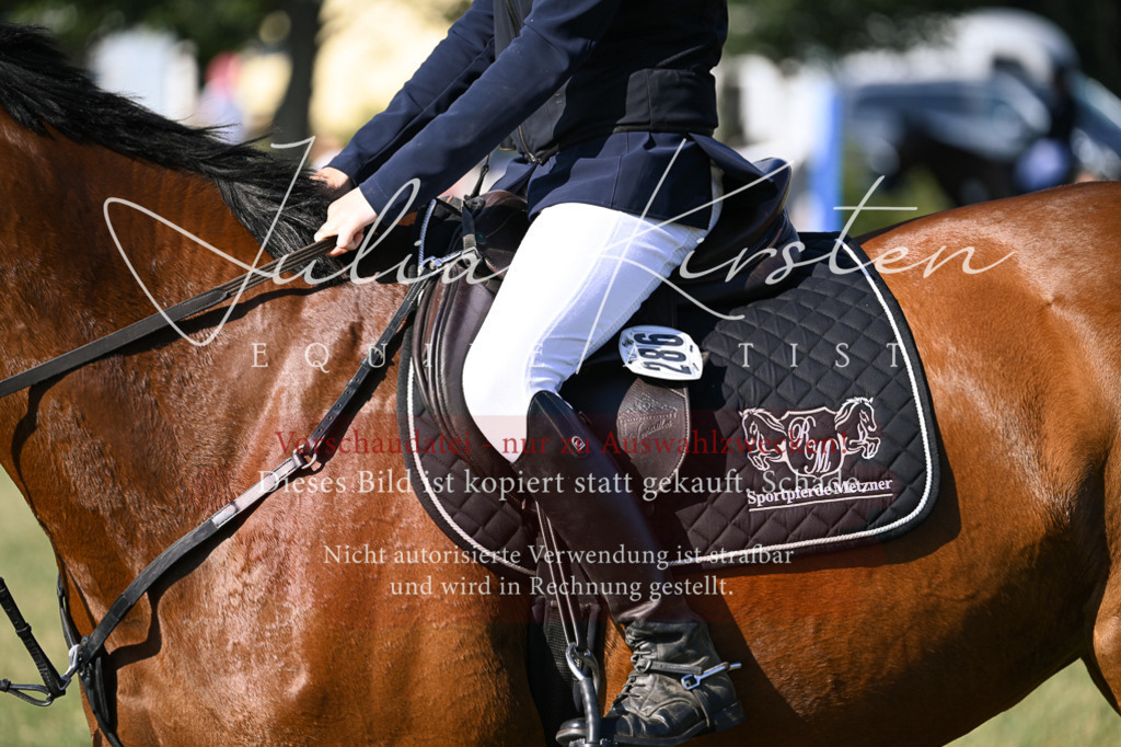 DSC_1314 | Pferde- und Turnierfotografie in Westsachsen. Pferdeportraits, Auftragszeichnungen und intuitive Kunst.