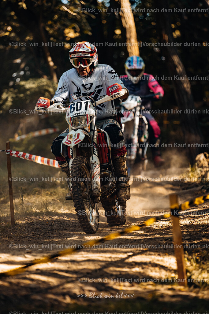 E68A5558 | blick_win_kel