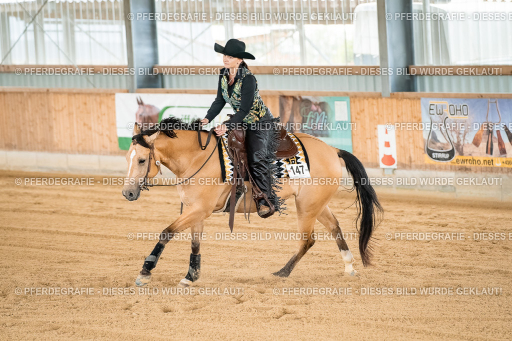 DSC02945 | Pferdegrafie