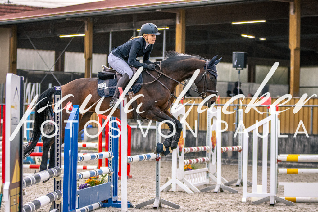 IMG_4906 | Erleben Sie dynamische Sport- und emotionale Tierfotografie in Süddeutschland mit Fotos von Paula. Spezialisiert auf Pferde- und Hundefotografie sowie Sportevents. Kontaktieren Sie mich für einzigartige und ausdrucksstarke Bilder Ihrer besonderen Momente. - Realisiert mit Pictrs.com