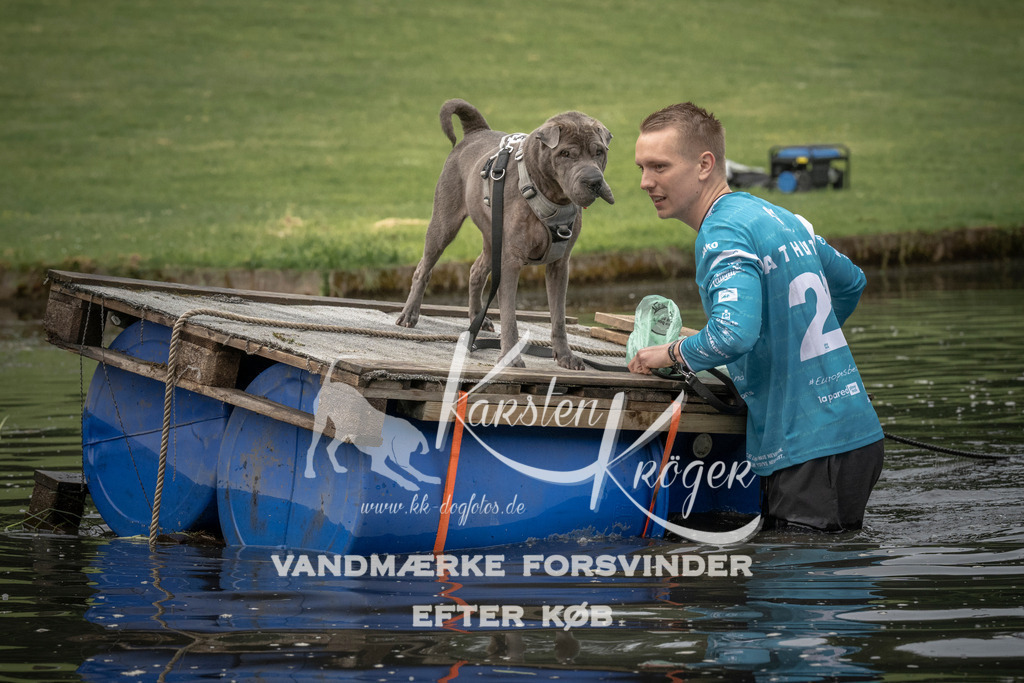 0804_ZZ90630 | kk-dogfotos