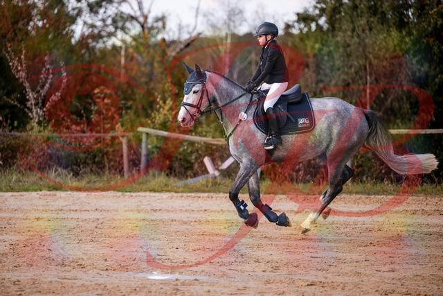 2026_10_03_Siefer-Hof_145127_Z81_30245101 | Professionelle Reitsport-, Turnier- und Eventfotografie von Robert Broda. Galerien mit ausgewählten und bearbeiteten Bildern direkt online ansehen und bestellen.