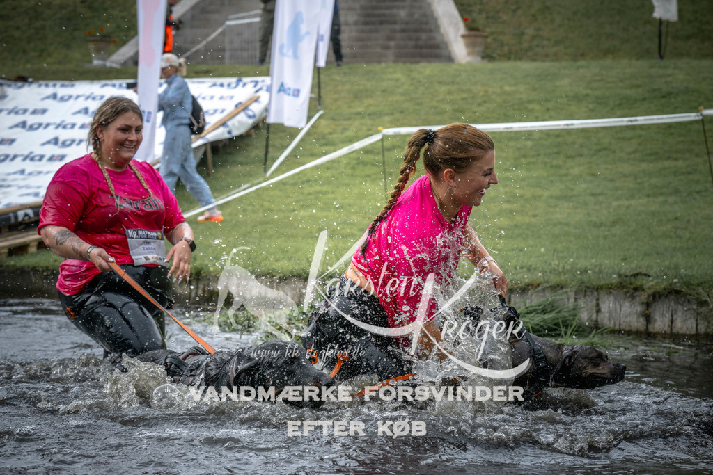 1605_ZZ97790 | kk-dogfotos