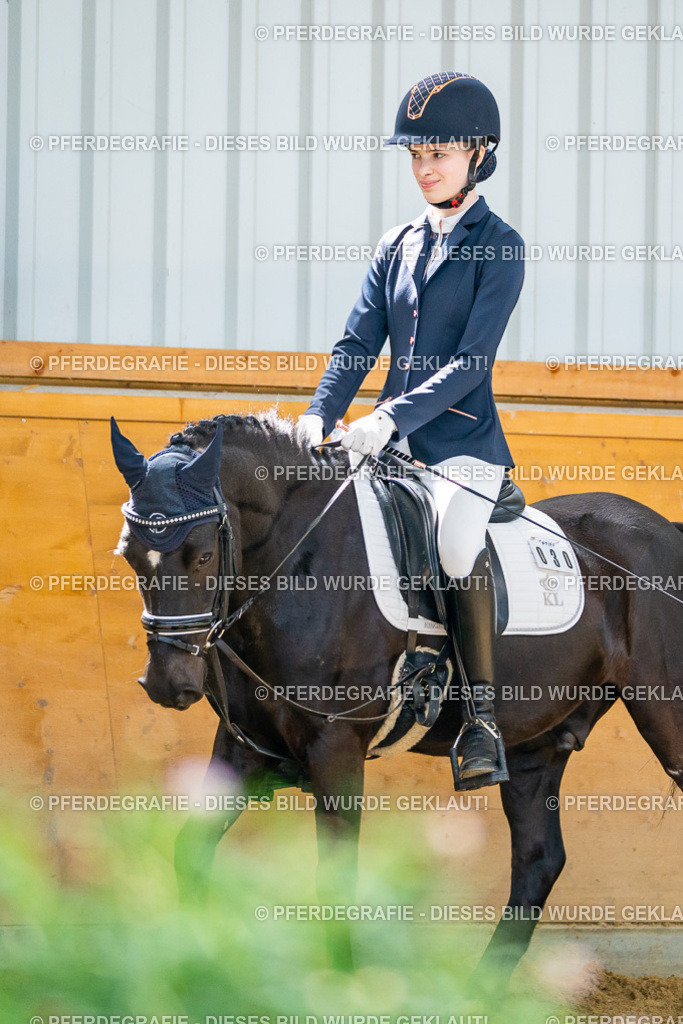 DSC08911 | Pferdegrafie