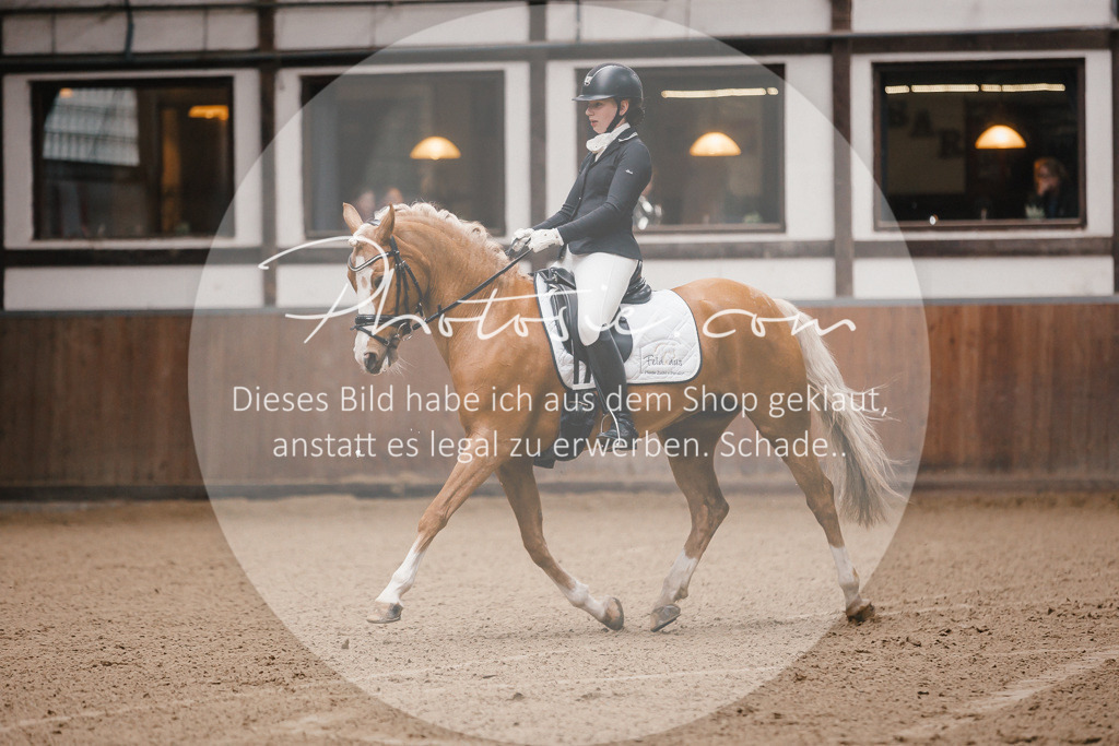 3I6A7082 | Stimmungsvolle Portraits und Reitsportfotografie im Ruhrgebiet und im Münsterland.

Pferdefotografie, Hundefotografie, Tierfotografie, Reportagen, Portraits von Tier und Mensch, Turnierfotografie in Bochum, Recklinghausen, Marl, Haltern am See, Dülmen.. - Realisiert mit Pictrs.com