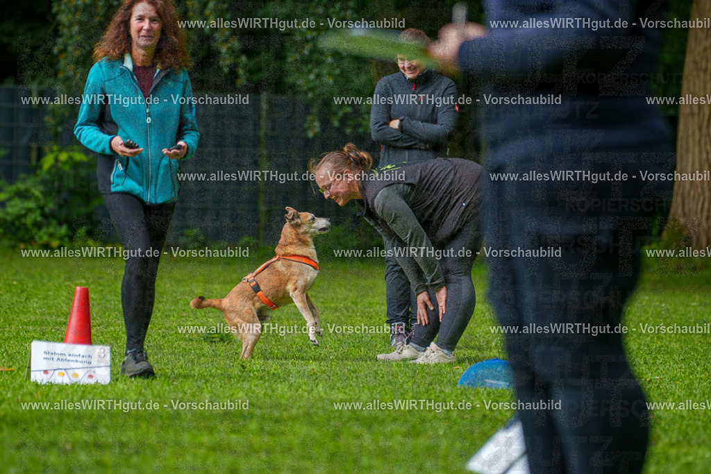 @allesWIRTHgut_Tierfotografie - www.allesWIRTHgut.de - 7R502092 | Professionelle Tierfotografie in Mönchengladbach von Daniel Wirth (allesWIRTHgut). Liebevolle & natürliche Bilder von Hunden & Katzen für unvergessliche Erinnerungen.