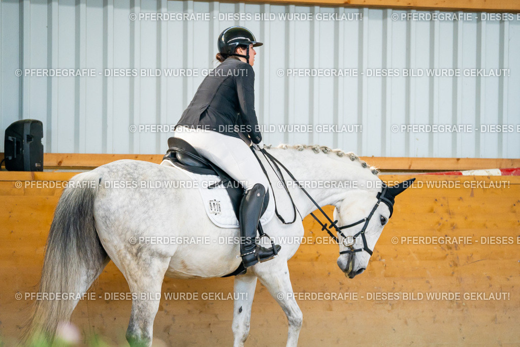 DSC06180 | Pferdegrafie