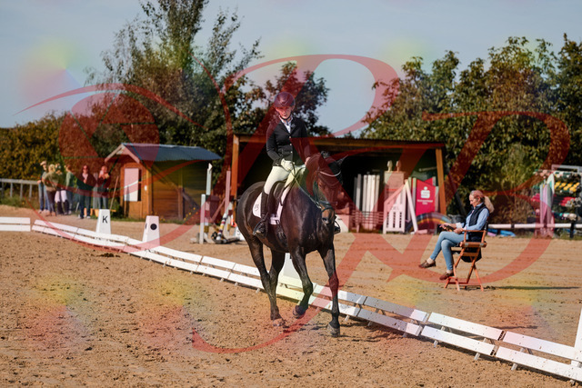 2026_10_03_Siefer-Hof_121709_Z63_40856341 | Professionelle Reitsport-, Turnier- und Eventfotografie von Robert Broda. Galerien mit ausgewählten und bearbeiteten Bildern direkt online ansehen und bestellen.