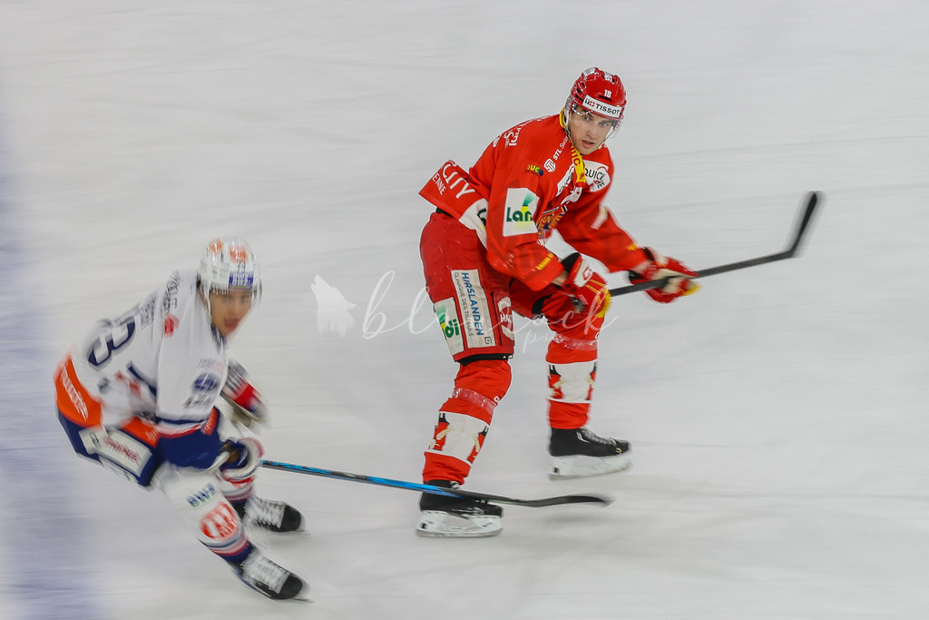 EHCB vs ZSC 20260130_wb-0066 | Sportbilder, Sportfotograf, Hochzeits- und Eventfotografin, Flugshows, Portraits und Tiershooting, Aviation, Downhill, Nationalleague, Swissleague, International