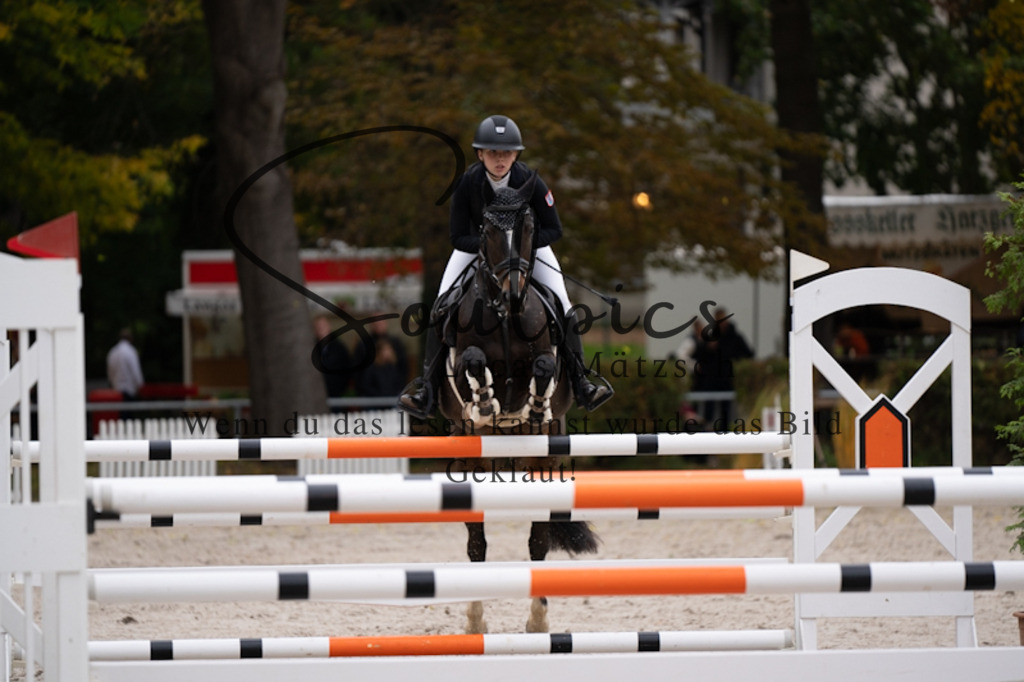 A7V09069 | Pferdefotograf