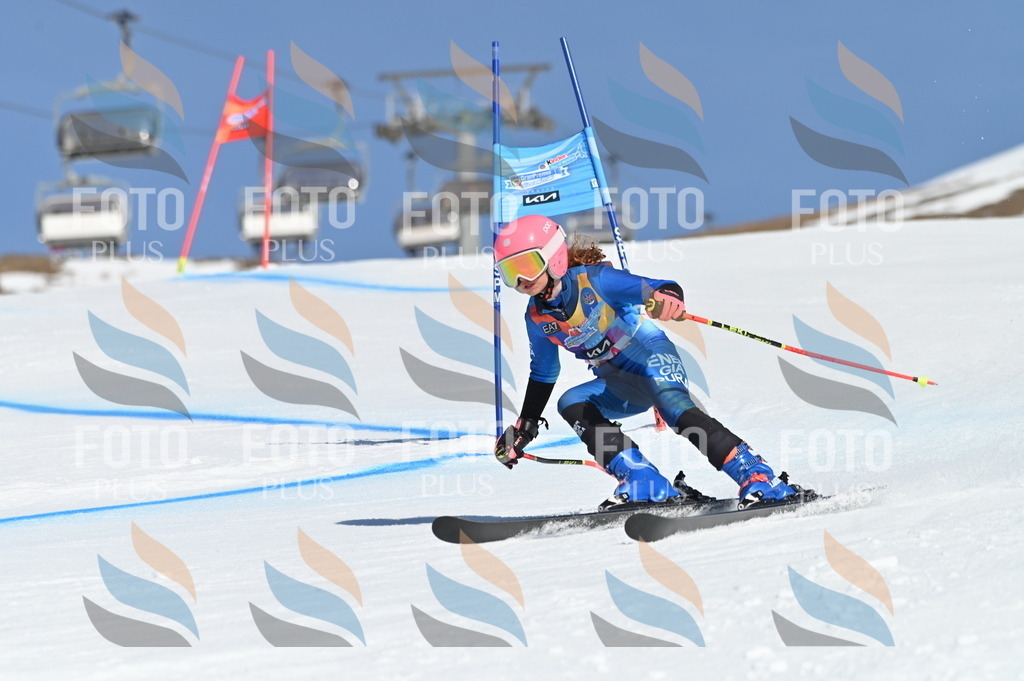 BGV_8228 | holidayphoto