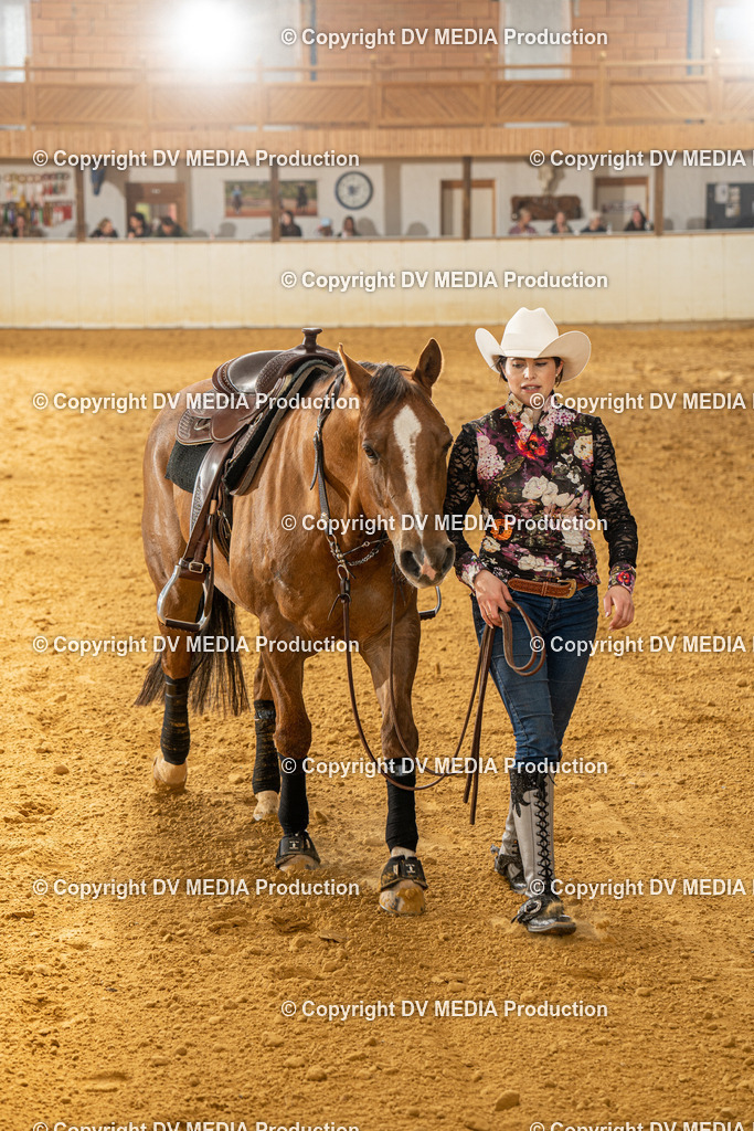 MIT01369 | dv-media-shop - Realisiert mit Pictrs.com