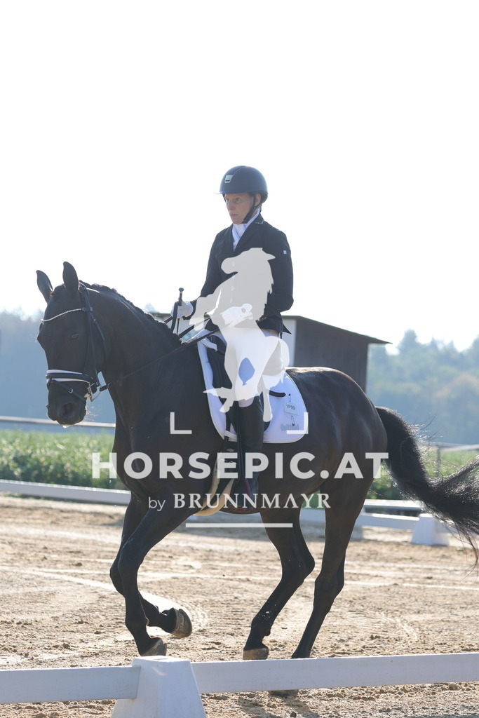 0P6A8591 | Willkommen bei Brunnmayr - Design & Fotografie – Ihrem Spezialisten für Reitturniere und Pferdeveranstaltungen in Oberösterreich, Salzburg und Bayern! Seit über 17 Jahren sind wir leidenschaftlich dabei.