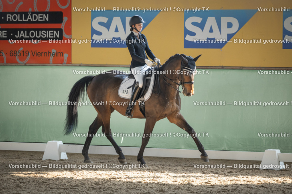 _D5A2912 | Emotionale Pferde- & People-Fotografie rund um Heidelberg, Leimen & Umgebung. Natürliche Fotos von Pferd, Mensch & Familie. Jetzt Termin sichern!