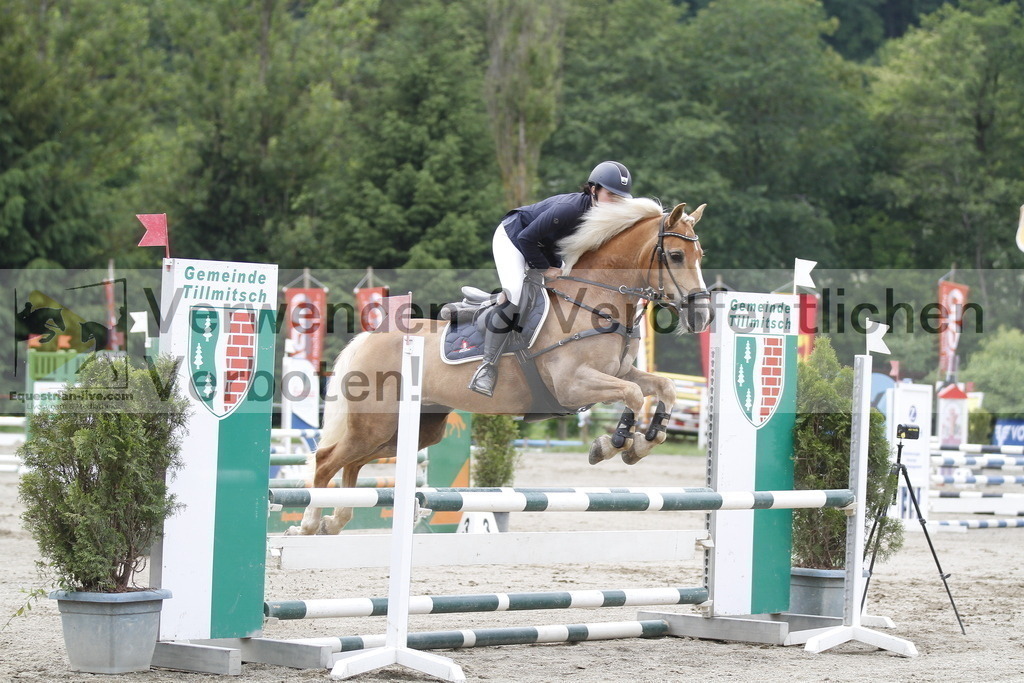_MG_6755 | equestrian-live-com