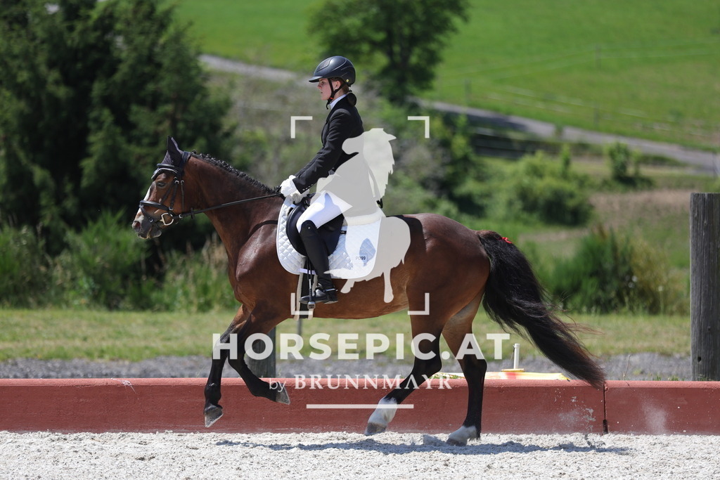 0P6A1743 | Willkommen bei Brunnmayr - Design & Fotografie – Ihrem Spezialisten für Reitturniere und Pferdeveranstaltungen in Oberösterreich, Salzburg und Bayern! Seit über 17 Jahren sind wir leidenschaftlich dabei.