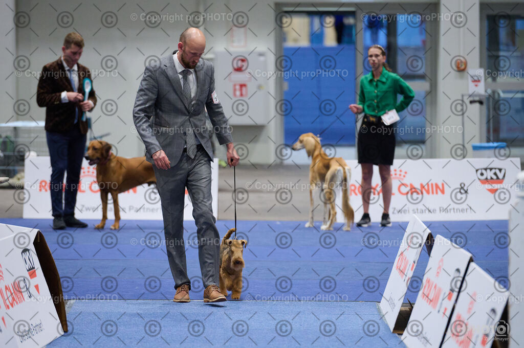 202406_ÖKV-IHA-Tulln24_DSC_3411 | proPHOTO - Realisiert mit Pictrs.com