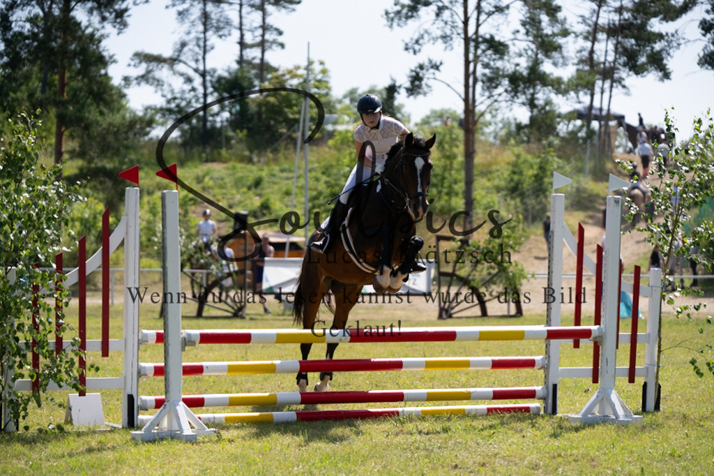 A7V05674 | Pferdefotograf