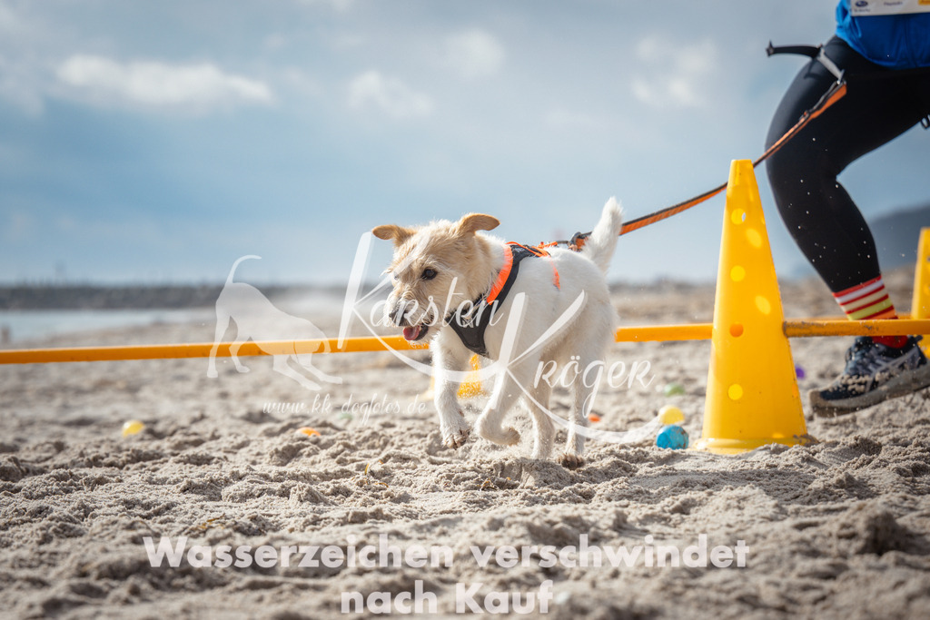 1155_ZZ92510 | kk-dogfotos