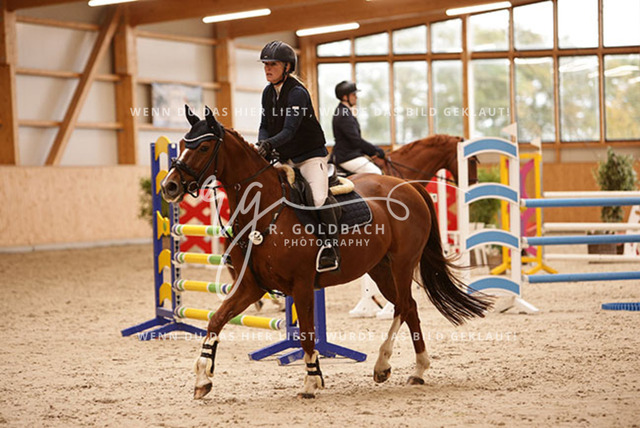 1J2A7952Francie Siegmund_ Heidi 682_ Kn277_ Glantz_ Hohen Wieschendorf | Foto- und Videografie für alles rund ums Pferd. Hochwertige Bilder und Videos vom Spring- und Dressurreiten, Voltigieren & mehr. Jetzt aktuelle Veranstaltungen und Preise im Shop ansehen. - Realisiert mit Pictrs.com