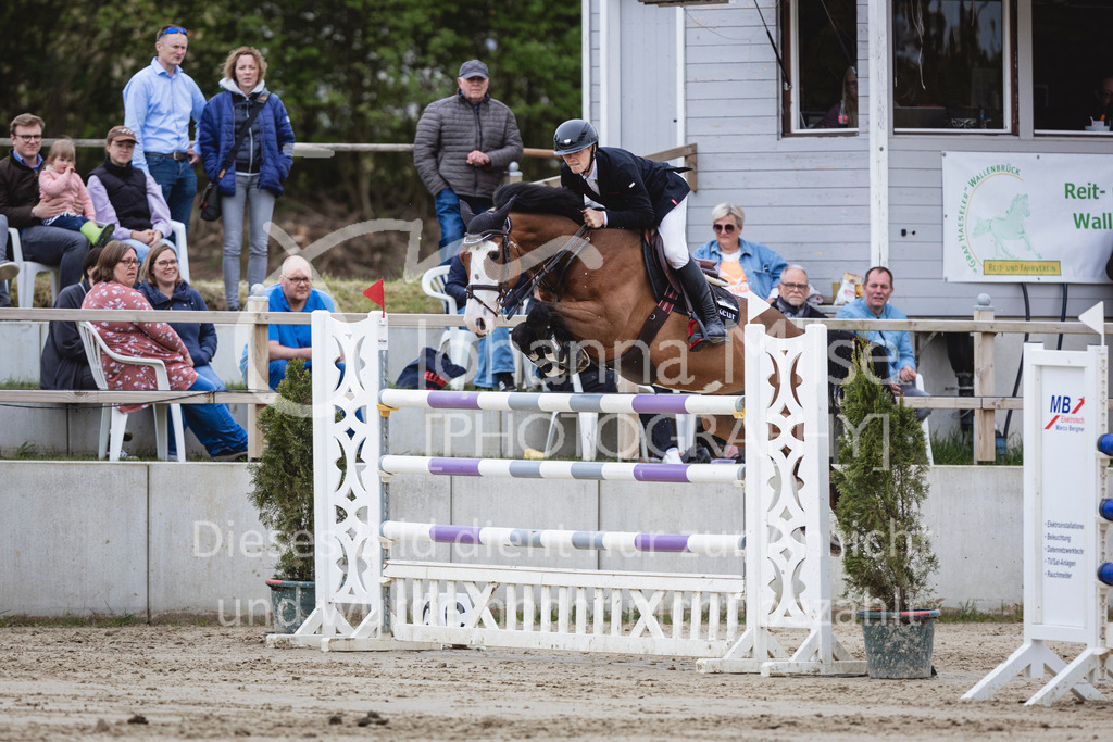 240428_Spenge_S-Spr-135 | Deine schönsten Turniermomente als professionelle Fotos! Entdecke hochwertige Pferdesport-Fotografie im Online-Shop. Jetzt Fotos finden & bestellen!