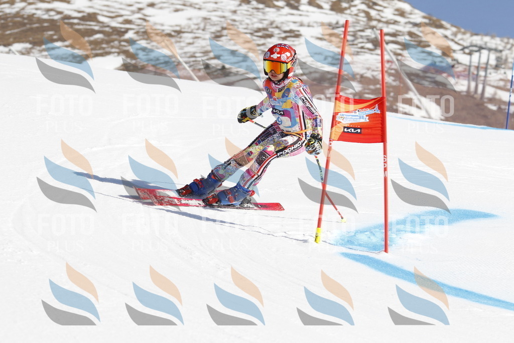 _U3G8774 | holidayphoto