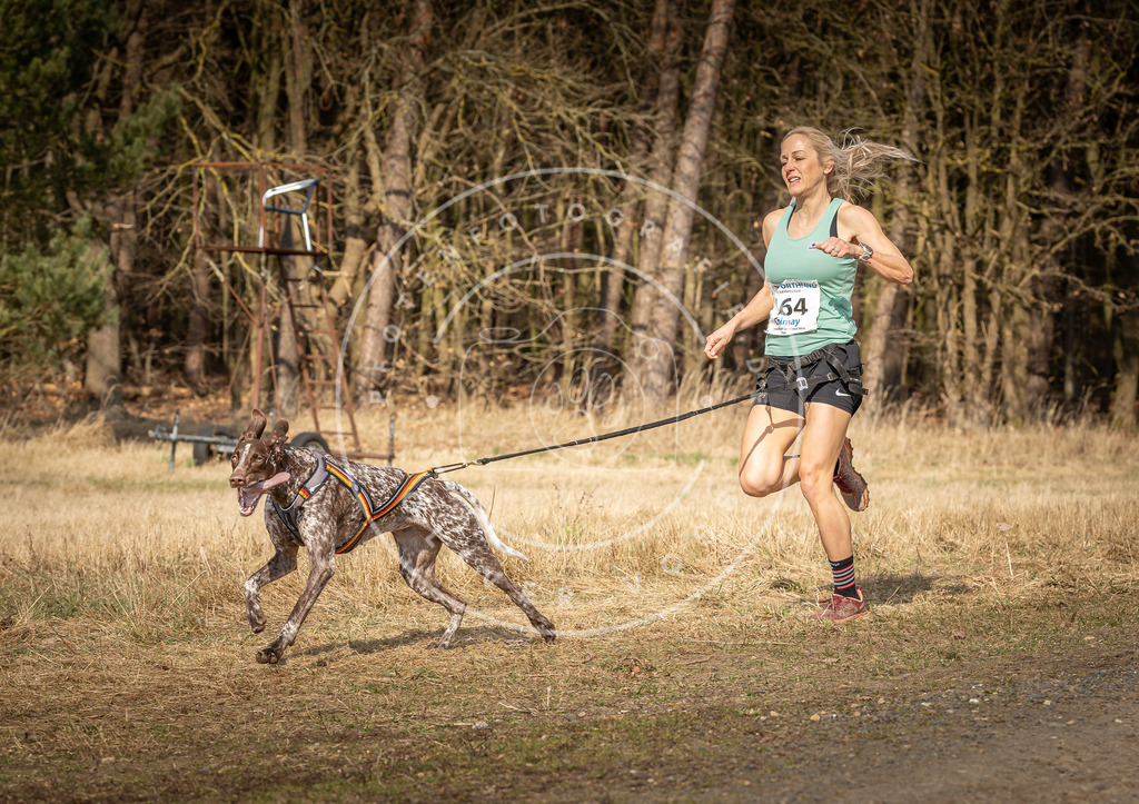 DV3A5609 | Hundefotografie, Tierfotograf, Pfotenfotografie, Fotoshooting Hund, Hunde Portrait, Hundesport, Hundeportraits, Heideshooting, Hunde, Sportfotograf, Hundefotograf, Turnierhundsport, THS,  - Realisiert mit Pictrs.com