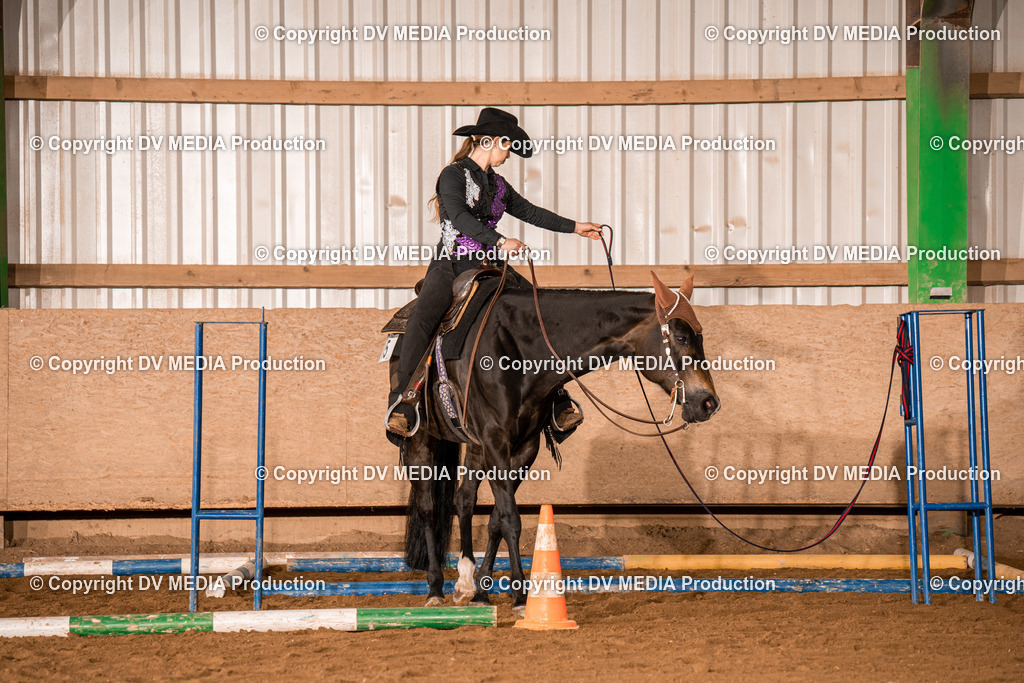 BA400125 | dv-media-shop - Realisiert mit Pictrs.com