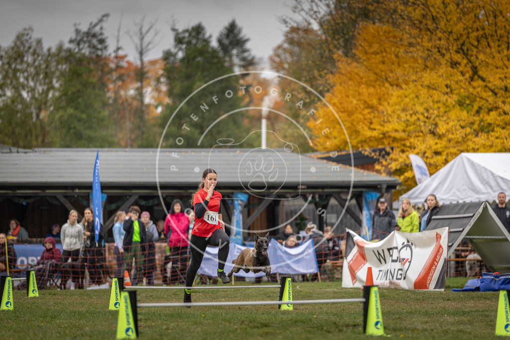 Pfotenfotografie_DV3A4971 | Hundefotografie, Tierfotograf, Pfotenfotografie, Fotoshooting Hund, Hunde Portrait, Hundesport, Hundeportraits, Heideshooting, Hunde, Sportfotograf, Hundefotograf, Turnierhundsport, THS,  - Realisiert mit Pictrs.com
