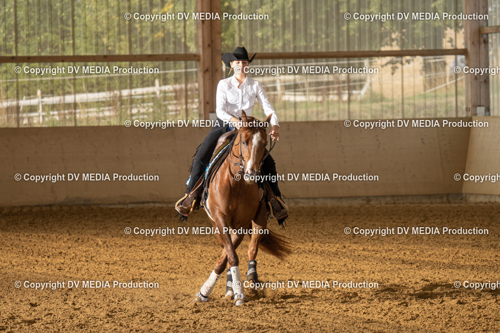 LAU01397 | dv-media-shop - Realisiert mit Pictrs.com