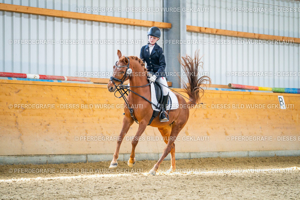 DSC03340 | Pferdegrafie