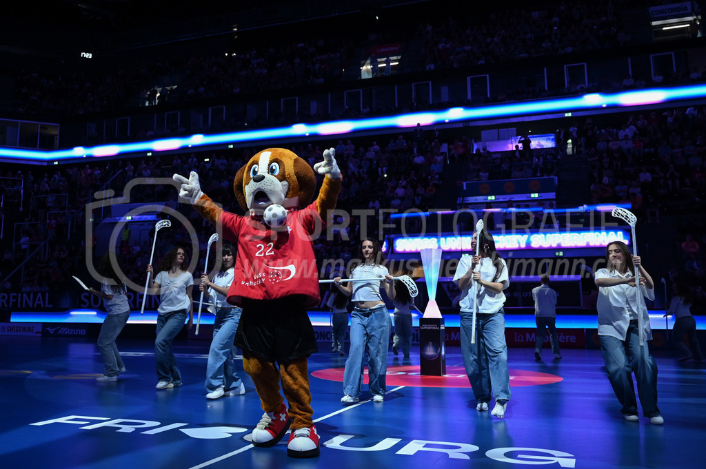 Zug United - HC Rychenberg - 25. April 2026 | Tanzgruppe mit toller Show am L-UPL Superfinal-Spiel zwischen Zug United und HC Rychenberg am 25. April 2026 in der BCF Arena, Fribourg, Schweiz.Bild: Sportfotografie Markus Aeschimann | www.markus-aeschimann.ch - Realized with Pictrs.com