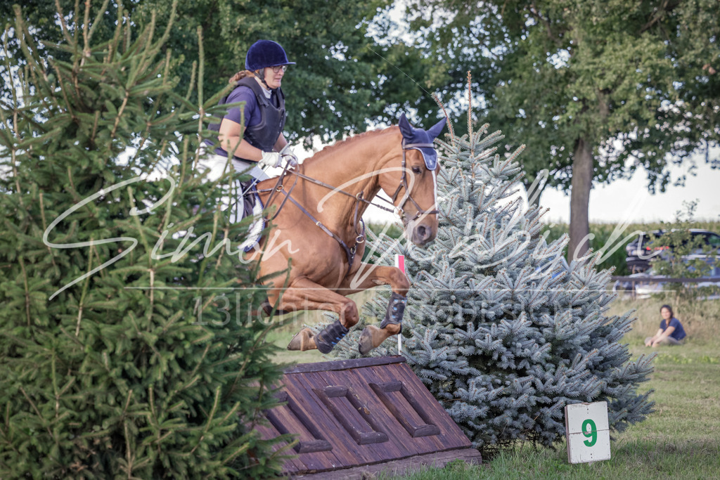 20250906-_3LI7370 | Tierfotografie Pferde, Hunde, Katzen, Haustiere.
Turnierfotografie Reitturniere, Reiten, Springreiten, Dressur in Hanau, dem Main-Kinzig-Kreis und dem Rhein-Main- Gebiet um Frankfurt