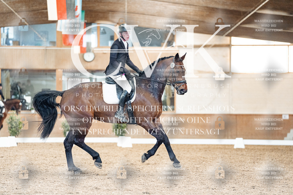 CK909076 | Turnierfotografie Pferdefotografie Trier Rheinland-Pfalz Pferdesport Reitsport Tierfotografie Sportfotografie Pferdevideo Pferdevideografie Equestrianvideography equestrianphotography  - Realisiert mit Pictrs.com
