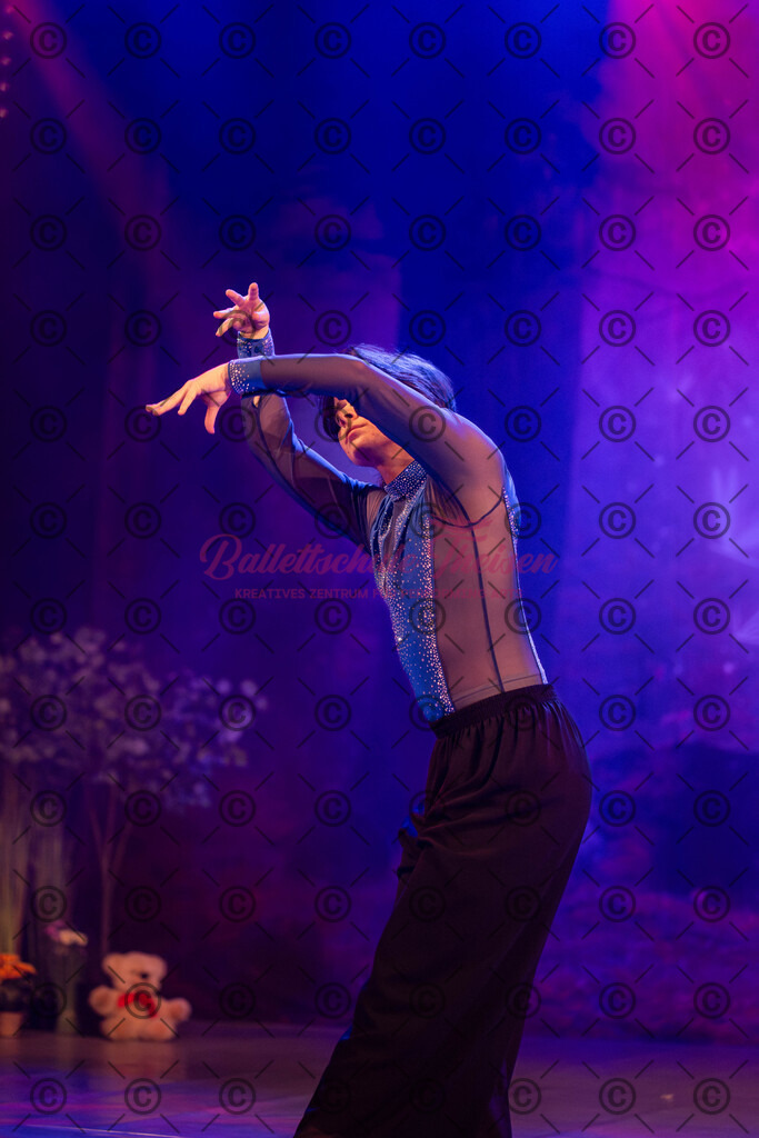 Ballettaufführung-1633 | Bildershop Lem'n Entertainment - Realisiert mit Pictrs.com