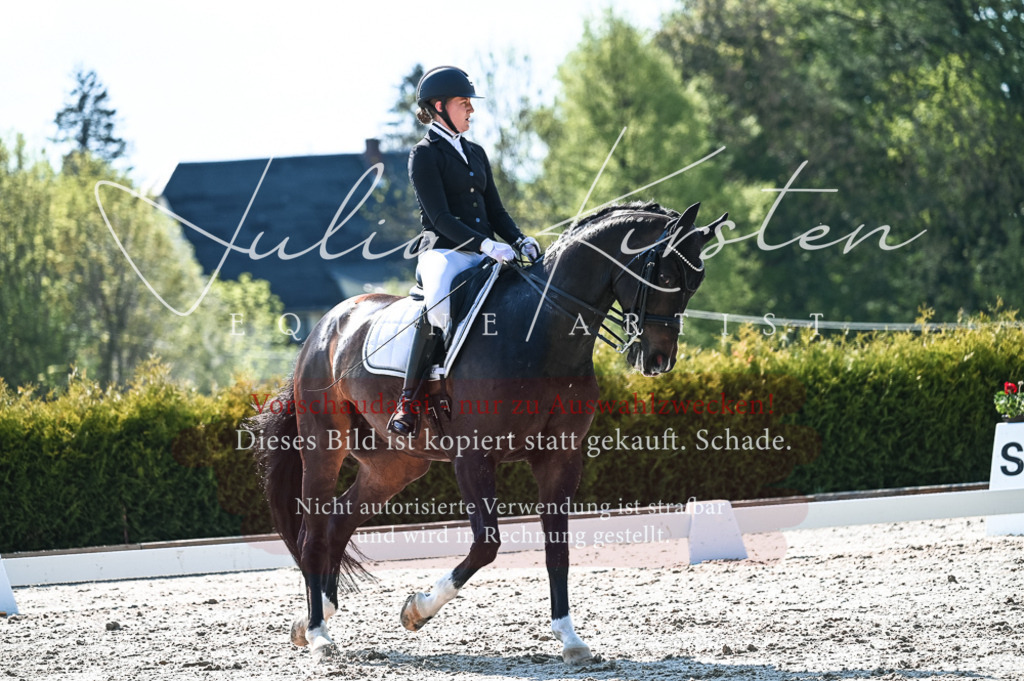 20230514_JK-Röhrsdorf-18-390 | Pferde- und Turnierfotografie in Westsachsen. Pferdeportraits, Auftragszeichnungen und intuitive Kunst.